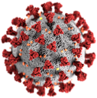 coronavirus image